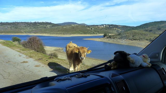 Lago Alto Flumendosa